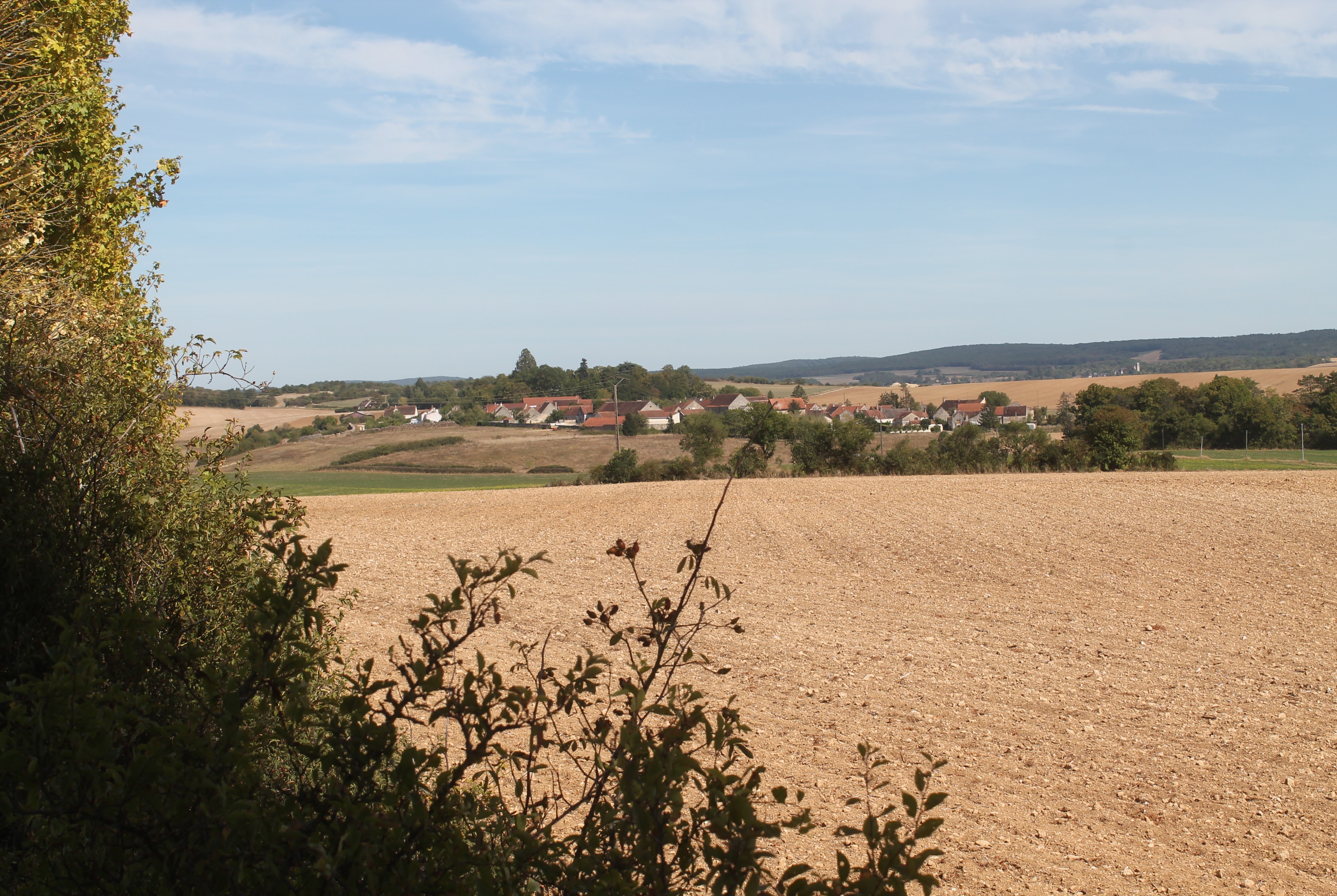 Looking back from Crain across Le Paumier to the memorial with Chatel Censoir in the background (from Nicholas Vincent)