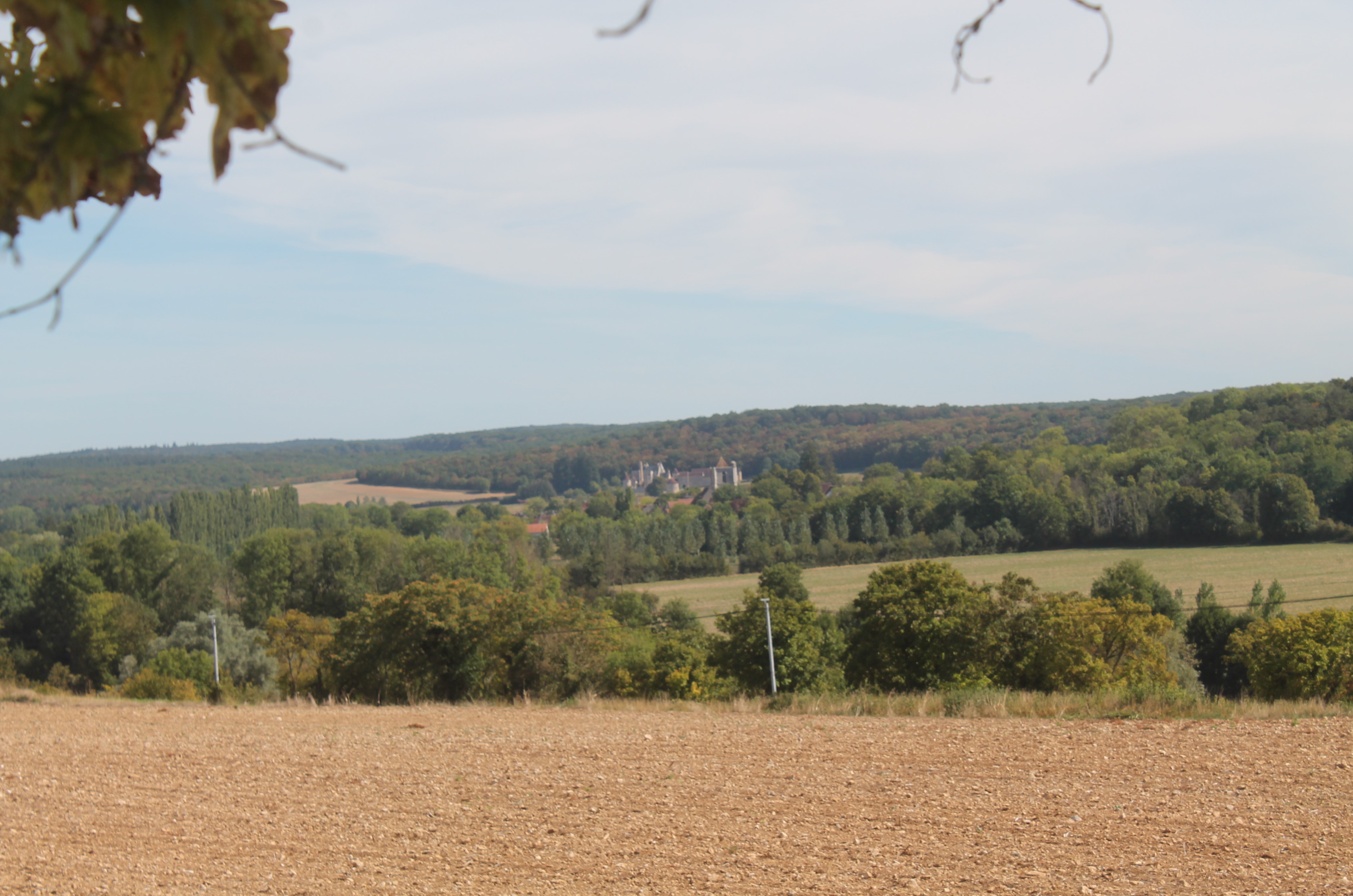From Crain looking back towards Lucy-sur-yonne (from Nicholas Vincent)