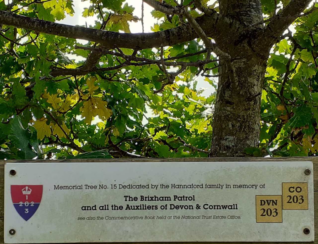 Brixham Patrol Memorial tree at Coleshill Estate Grounds