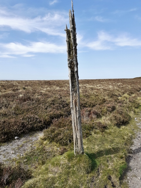 Dartmoor glider pole 
