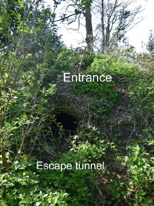 Looking up the mound of the Ice House. Escape tunnel below and “entrance” above.