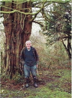 Kent Henry Cuthbert by OB Yew Tree