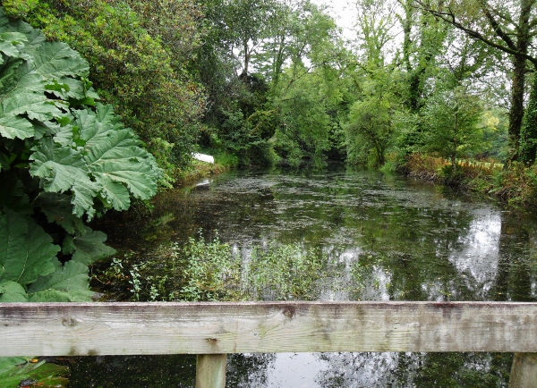 Pond at Slade Cornwood