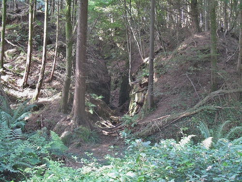 Quarry and mine shafts in Prideaux woods used by the St.Blazey Auxiliary Unit