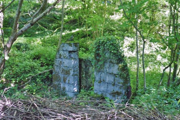 Roseland quarry hut remains