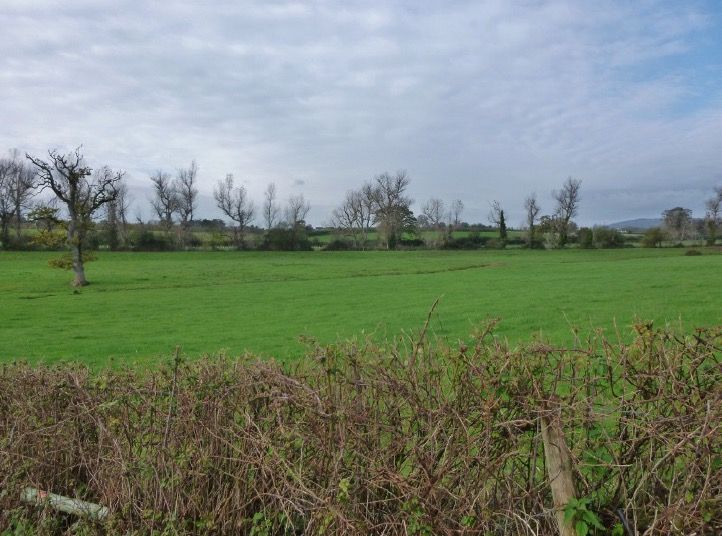 Looking over the OB site from Maidenbrook Lane. The OB is just to the right of centre in the middle of the field.