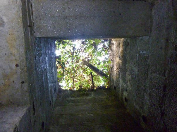 Looking up the entrance shaft.