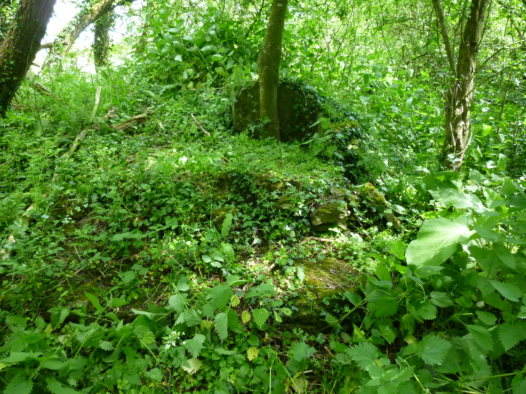 Bruton - Raggs Copse structure in woods