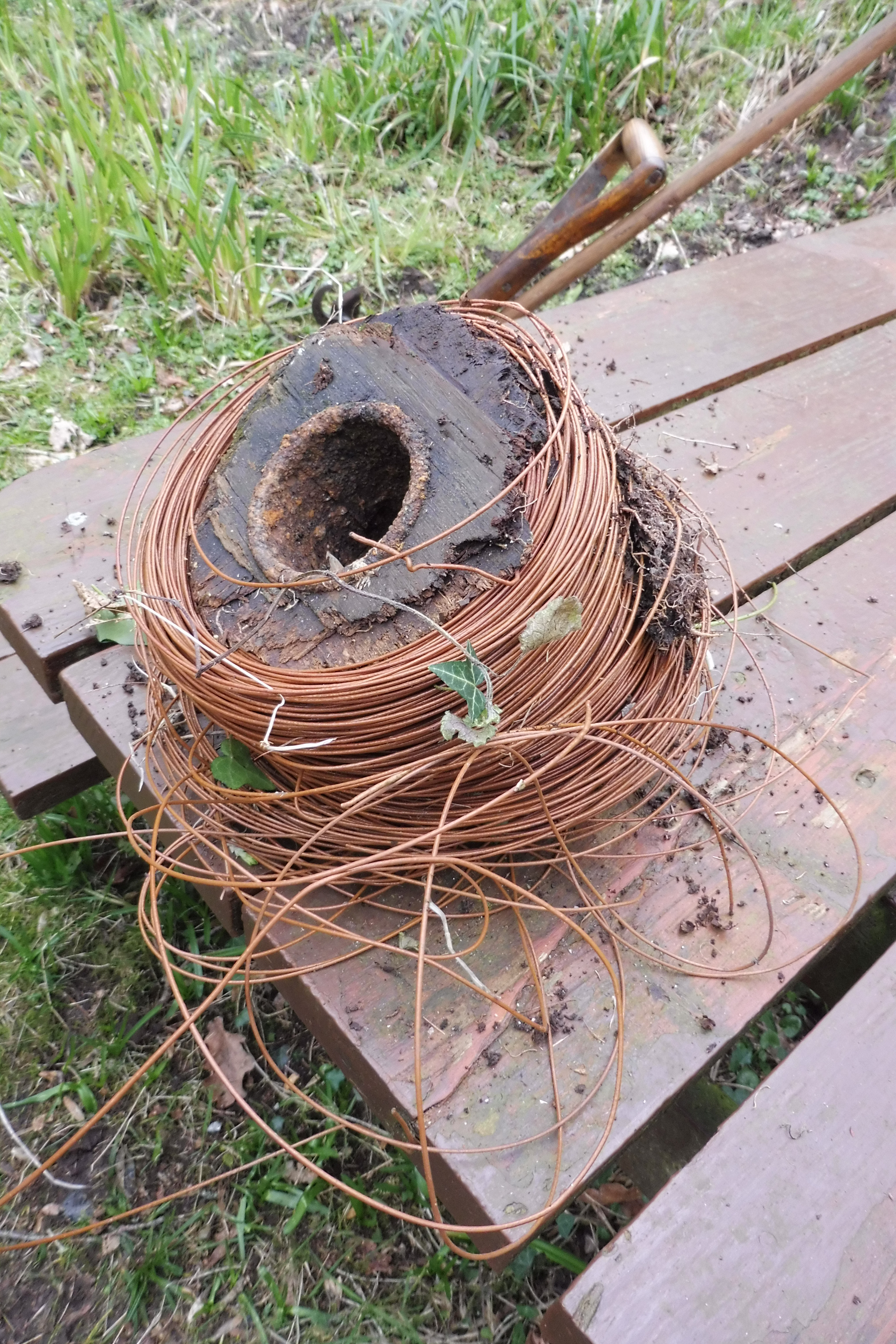 Wire found in Park Wood Chard