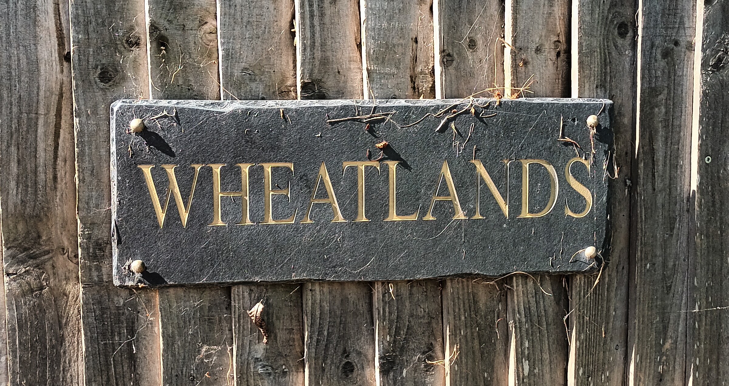 Wheatlands 1