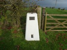 Monmouthshire Trig Point