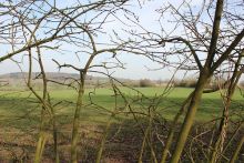 Coleshill Observation Post 2