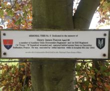 Memorial Tree 6