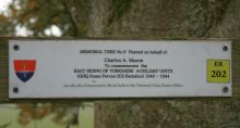 Memorial Tree 9