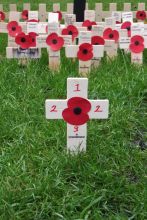 Memorial crosses