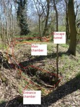 Layout of Pits Wood OB