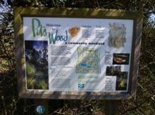 Pits Wood sign, Copford