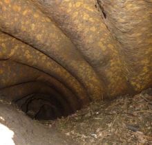 An animal burrow allows a view of buckled corrugated iron roof of the OB. It is probably still fairly complete beneath the collapse.
